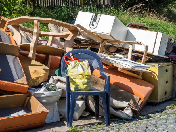 Yard Cleanup Services in Mendota, IL