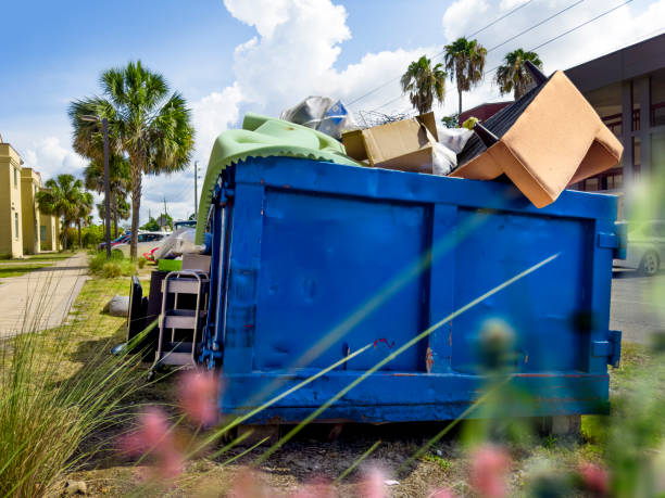 Best Professional Junk Removal  in Mendota, IL