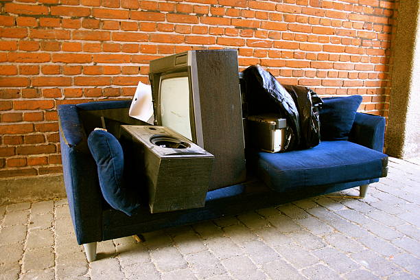 Best Household Junk Removal  in Mendota, IL